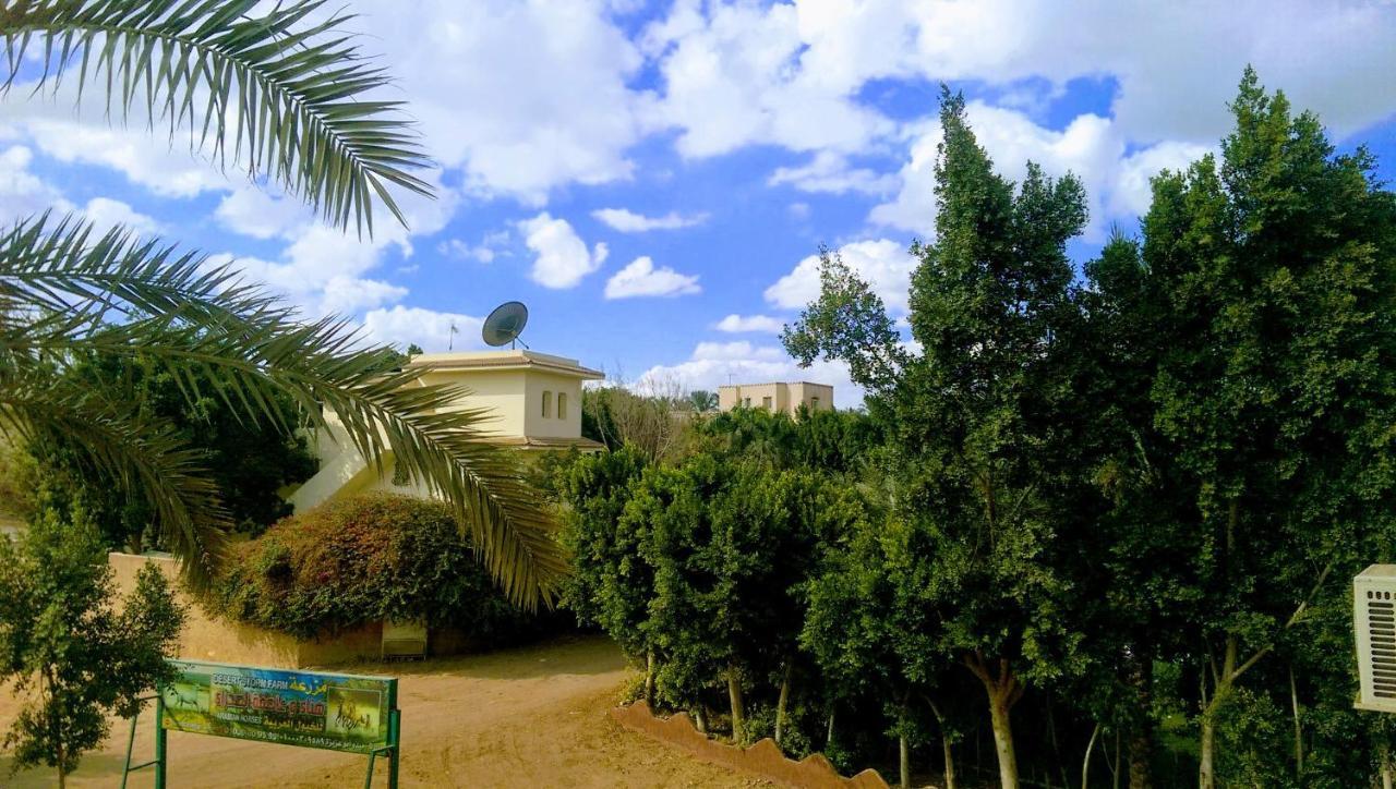 The Farm - Hotel & Horse Riding Kairo Bagian luar foto