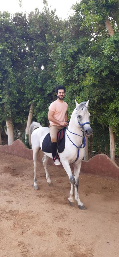The Farm - Hotel & Horse Riding Kairo Bagian luar foto