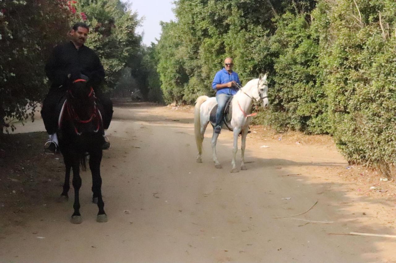 The Farm - Hotel & Horse Riding Kairo Bagian luar foto