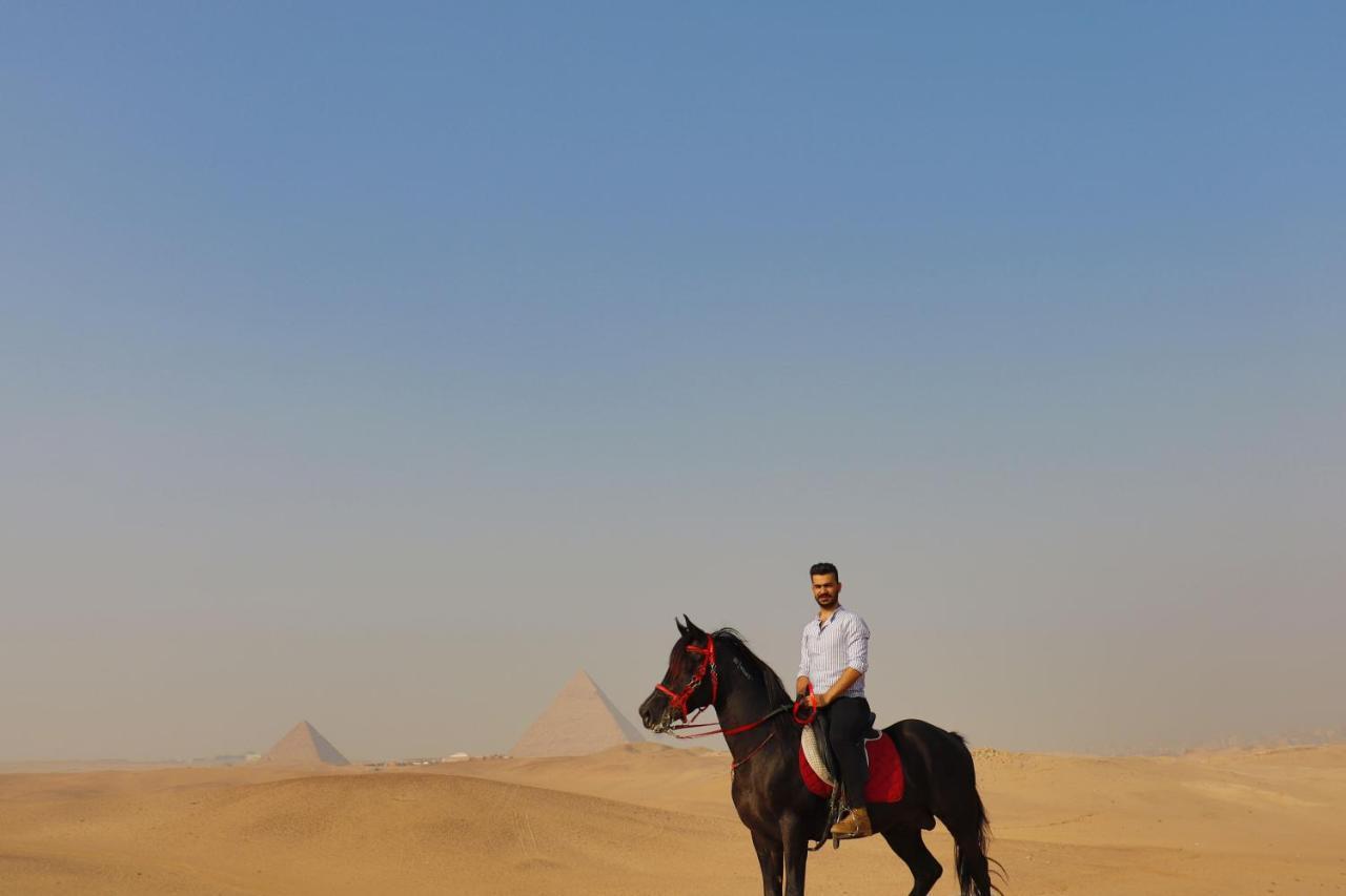 The Farm - Hotel & Horse Riding Kairo Bagian luar foto