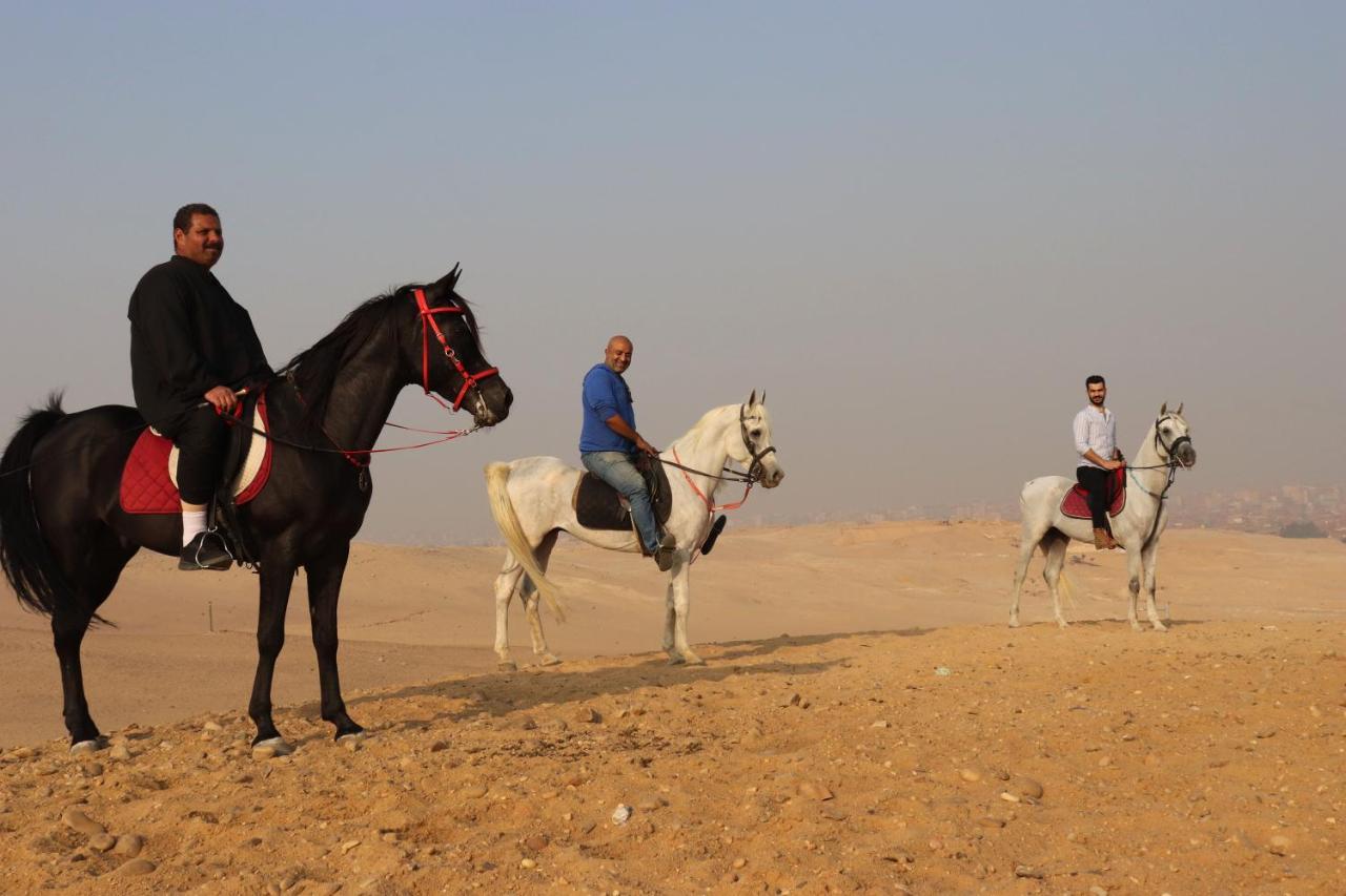 The Farm - Hotel & Horse Riding Kairo Bagian luar foto